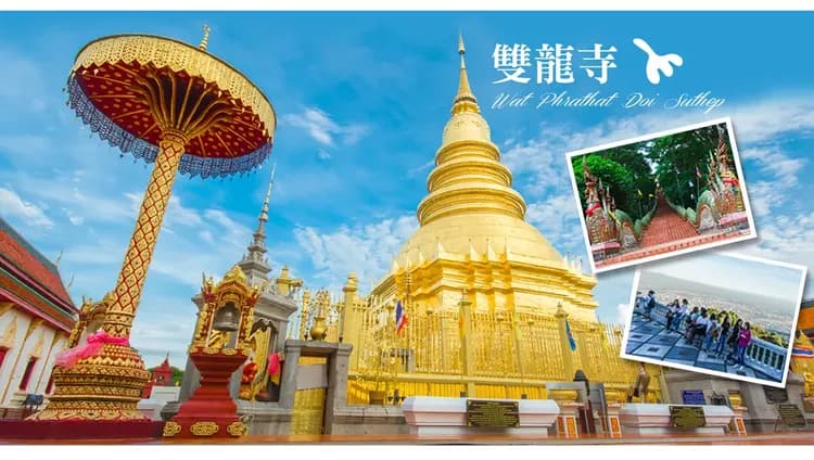 【清邁親子遊５日】夜間動物園、泰山叢林遊、友善大象營、大象便便紙公園、長榮航空[含稅]-9