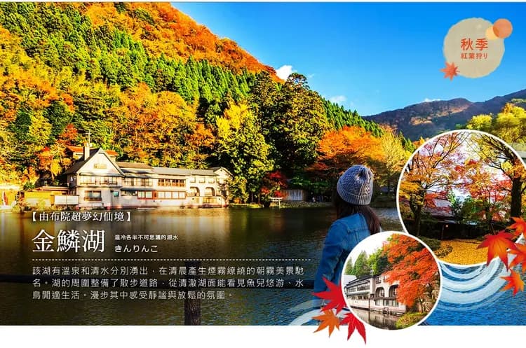 【楓迷九州雙鐵道5日】由布院之森、深耶馬溪、九重大橋、御船山樂園、佐賀之旅[含稅簽]-11