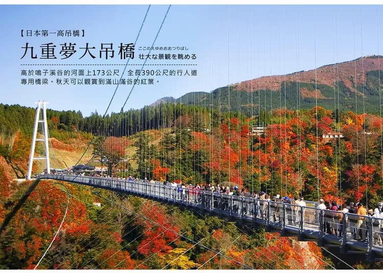 【楓迷九州雙鐵道5日】由布院之森、深耶馬溪、九重大橋、御船山樂園、佐賀之旅[含稅簽]-5