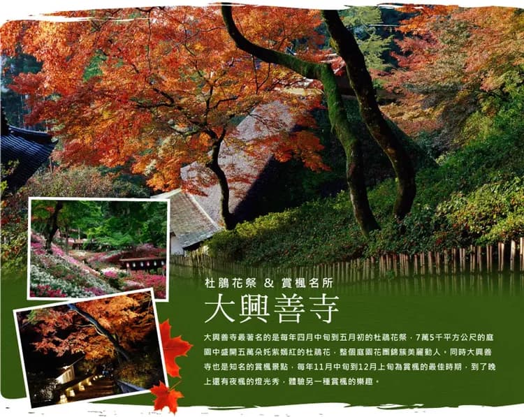 【楓迷九州雙鐵道5日】由布院之森、深耶馬溪、九重大橋、御船山樂園、佐賀之旅[含稅簽]-10