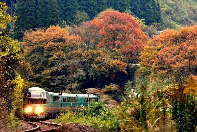 【楓迷九州雙鐵道5日】由布院之森、深耶馬溪、九重大橋、御船山樂園、佐賀之旅[含稅簽]