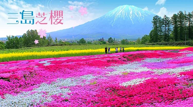 undefined-1