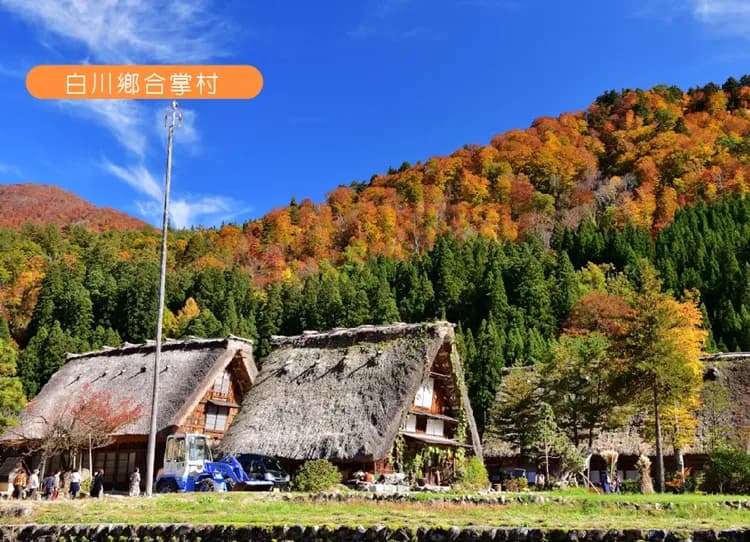 秋楓立山黑部6日.郡上八幡.秘境上高地.天龍峽.採果樂.白川鄉.兼六園.飛驒高山.雙溫泉（中華航空）