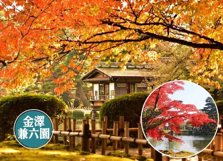 秋楓立山黑部6日.郡上八幡.秘境上高地.天龍峽.採果樂.白川鄉.兼六園.飛驒高山.雙溫泉（中華航空）-7