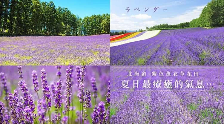 undefined-1