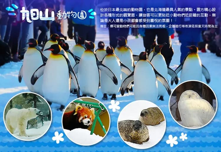 undefined-3
