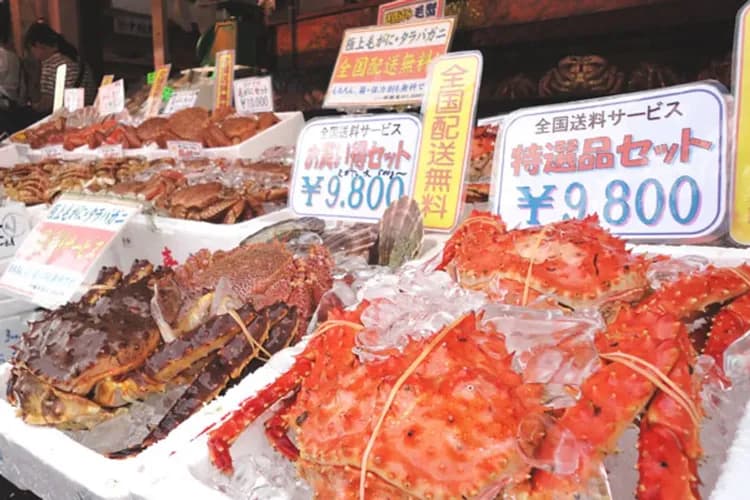 北海道秋意濃～小樽函館山、定山溪獨木舟、尼克斯企鵝秀、長腳蟹溫泉香五日-7