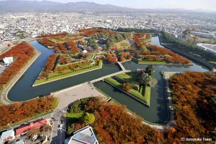 北海道秋意濃～小樽函館山、定山溪獨木舟、尼克斯企鵝秀、長腳蟹溫泉香五日