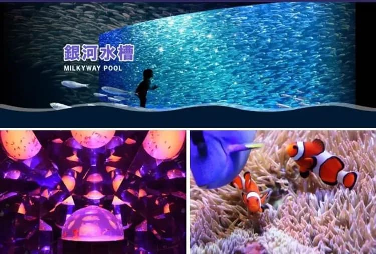 尼克斯海洋公園(可愛企鵝遊行)