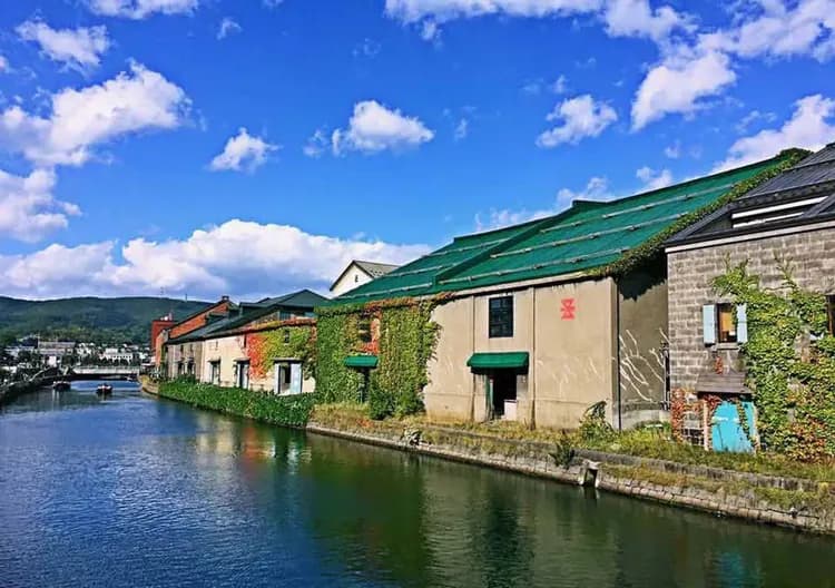北海道秋意濃～小樽函館山、定山溪獨木舟、尼克斯企鵝秀、長腳蟹溫泉香五日-5