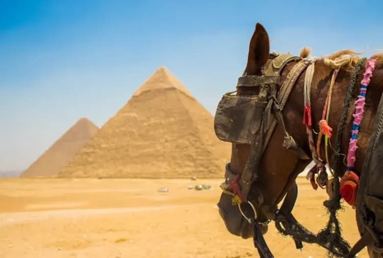 Giza Pyramids-吉薩金字塔(人面獅身像+騎駱駝)