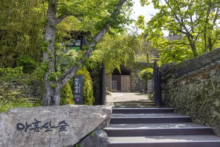 Ahopsan竹林（九峰山林）