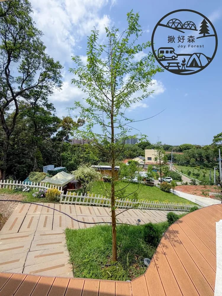 揪好森 Joyforest｜桃園楊梅森林包場豪華帳篷-13