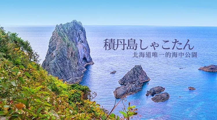 北海道旅遊｜洞爺湖花火大會.富良野花田.積丹半島.定山溪彩燈節.企鵝遊行.小樽漫遊.三大螃蟹四晚溫泉五日【高雄來回】