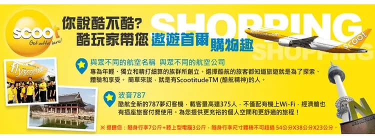 【不進人蔘保肝，楓華首爾５日】南怡島賞楓、首爾林、廣藏市場、愛寶樂園、烤肉吃到飽[含稅]-11