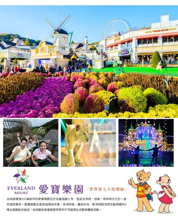 【不進人蔘保肝，楓華首爾５日】南怡島賞楓、首爾林、廣藏市場、愛寶樂園、烤肉吃到飽[含稅]