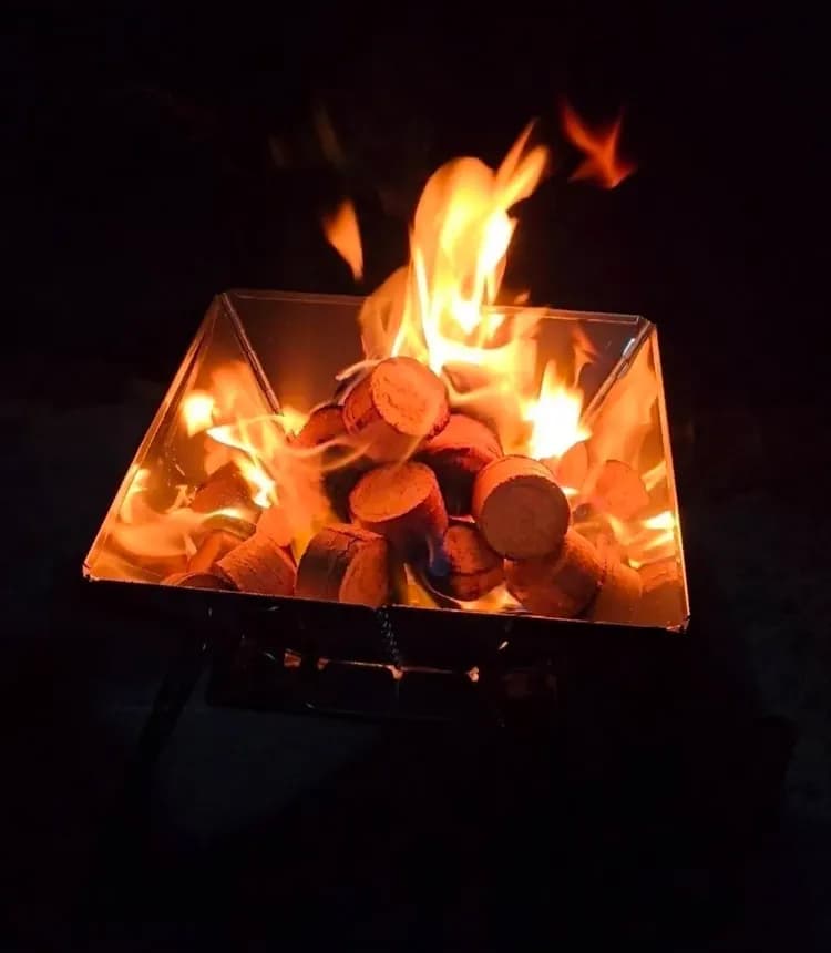 紅柚車露漫遊-4
