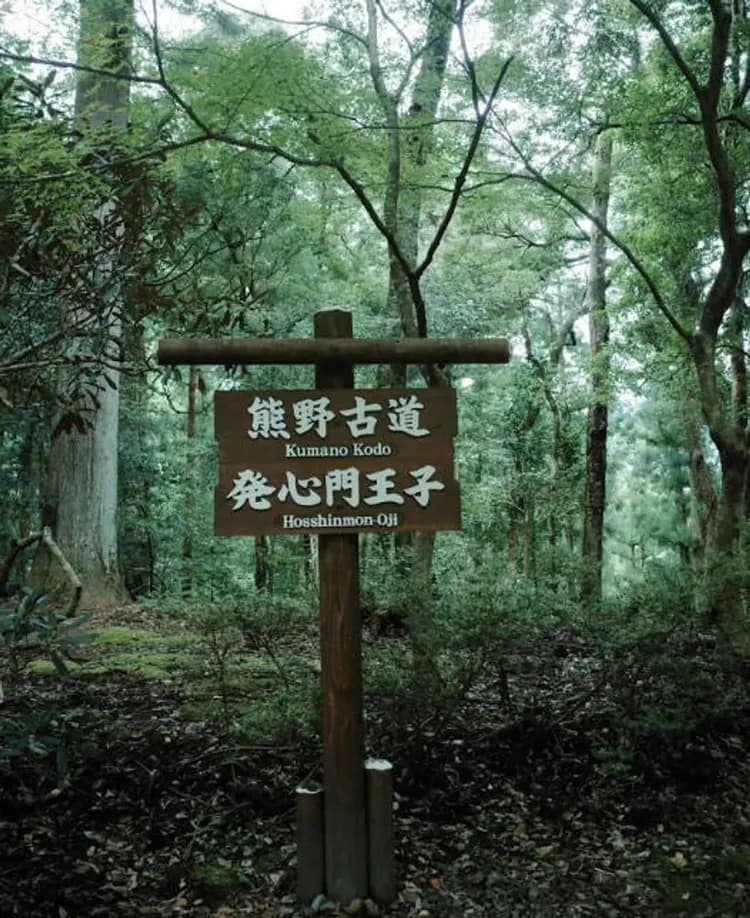 【雙朝聖認證】2026 熊野古道2日遊｜中邊路健行・拜謁熊野三山・大阪出發-6