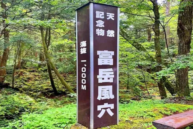 富岳風穴