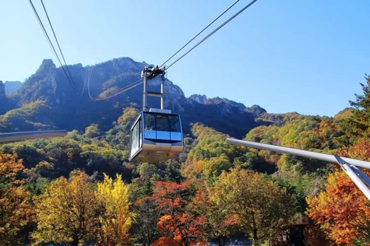 TXG首爾感恩回饋季～愛寶樂園馬戲團、雪嶽山國家公園、湖畔渡假村、乙晚五星飯店五日-6