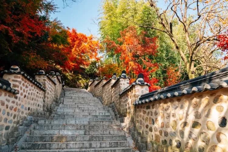梵魚寺楓紅-紅葉故事旅行