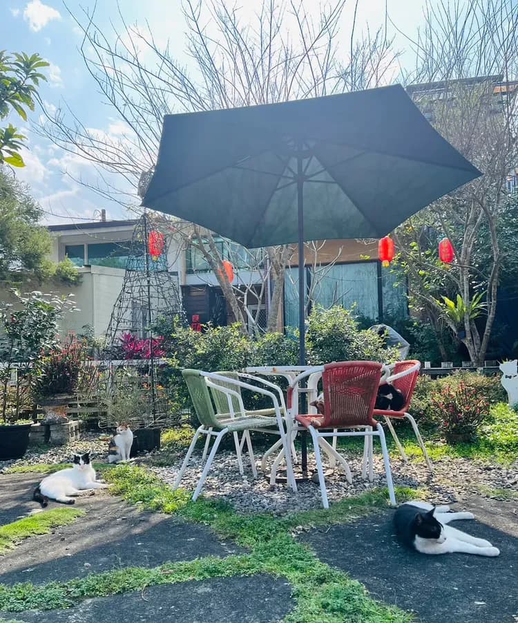 貓天空寵物鄉村民宿-3