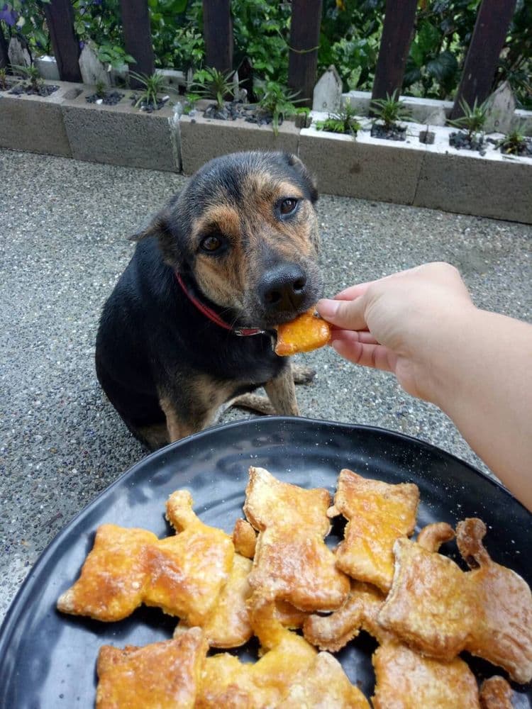 兔兔窩渡假民宿 | BBQ烤肉&自行車使用 | 鄉村風 | 安農溪-6