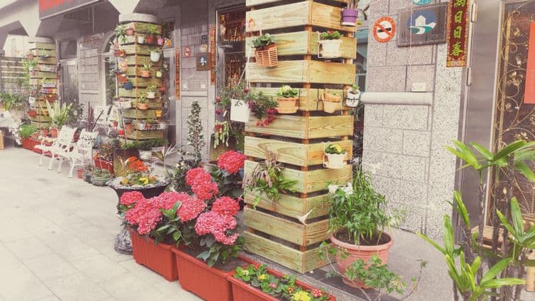 伯爵四季民宿-14