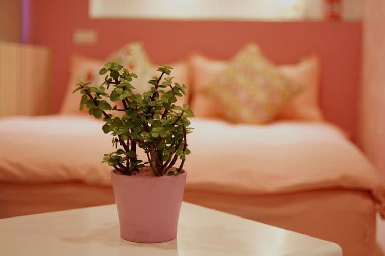 宜蘭羅東夜市迷彩民宿-3