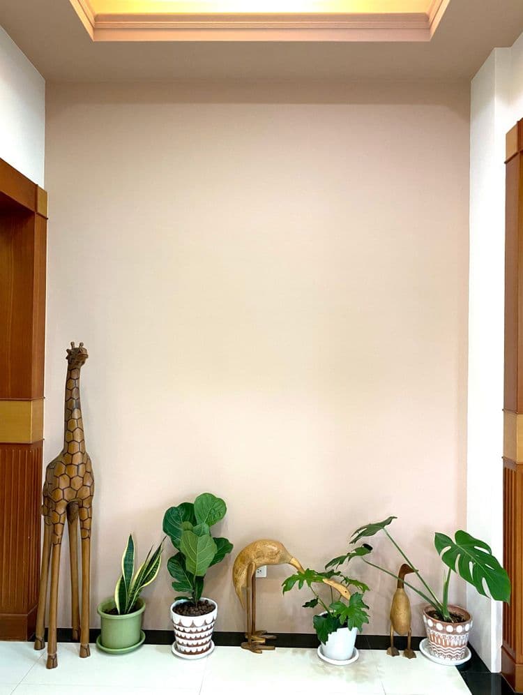 花蓮統一的家民宿 | 附早餐  | BBQ-9