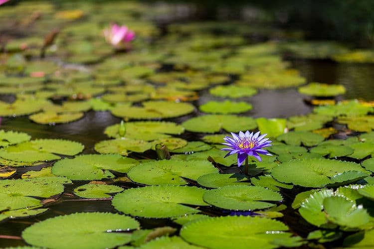 花蓮統一的家民宿 | 附早餐  | BBQ-3