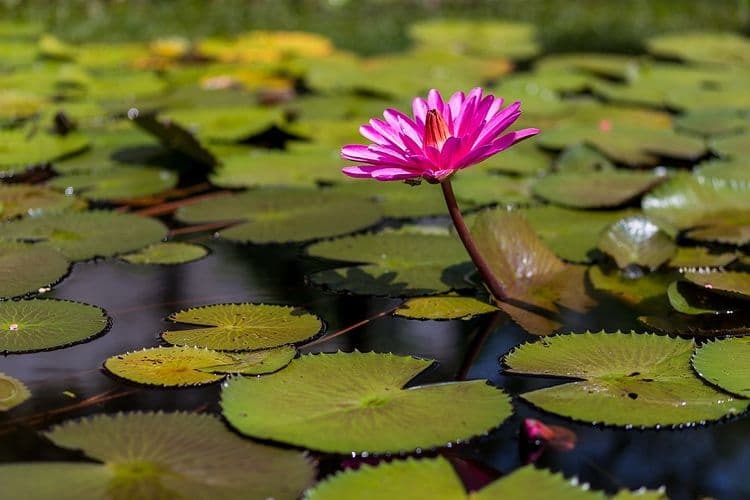 花蓮統一的家民宿 | 附早餐  | BBQ-2