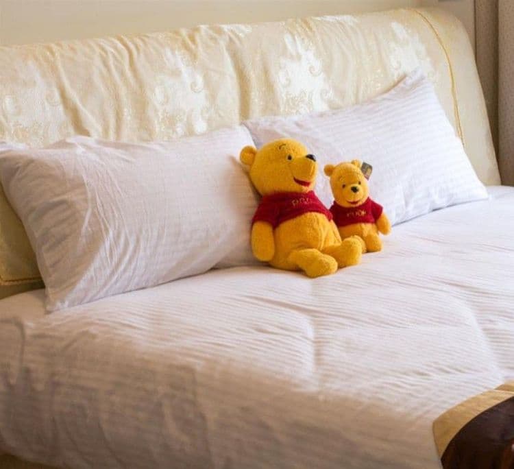 桔園庭園民宿 l 輕航機飛行體驗 l 代售套裝行程-8