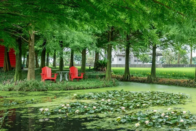 傳遞幸福爵士館-10