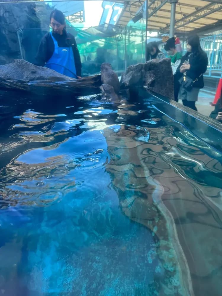 鳥羽水族館徒歩数分です