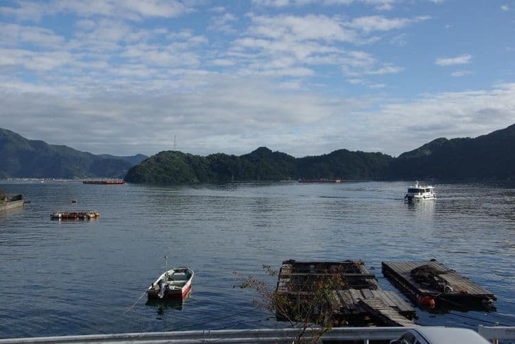 民宿 花水木-日豐本線佐伯站-6