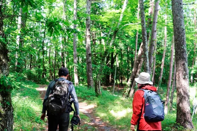 近所の森でナビゲーターの案内で遊ぶ「ネイチャーナビゲート」が体験できます。ご希望の場合はお申し出ください。