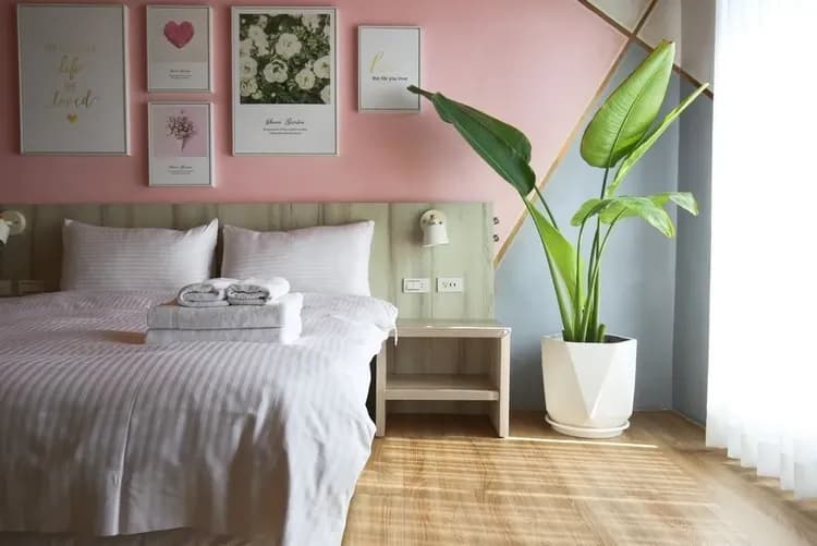 花落諾台南民宿 ｜安平老街、鄰近景點-8