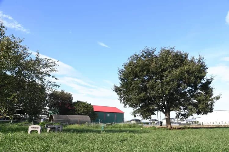 近くの牧場。のんびり出来ます。