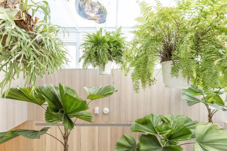 薆悅酒店五權館-12