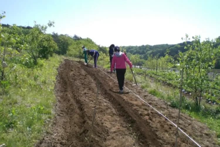 農泊ツアーの生徒さん　農業体験