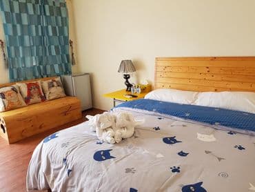 貓兒散散步 l 寵物友善-3