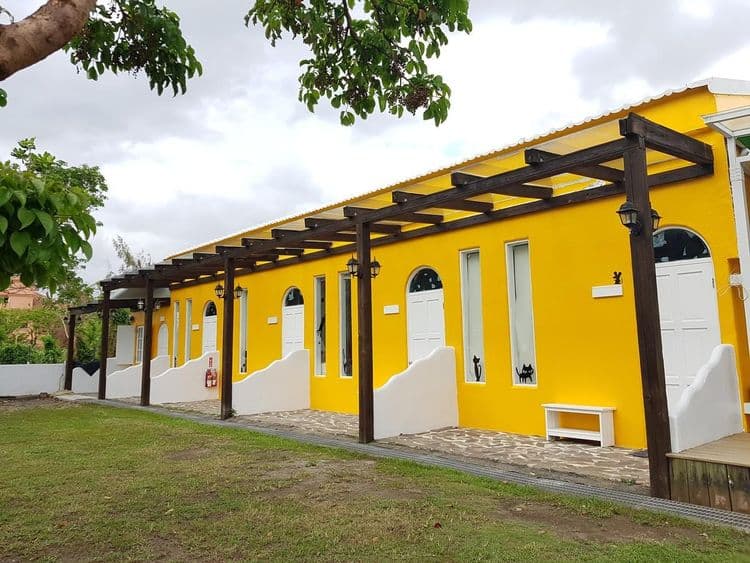 貓兒散散步 l 寵物友善-12