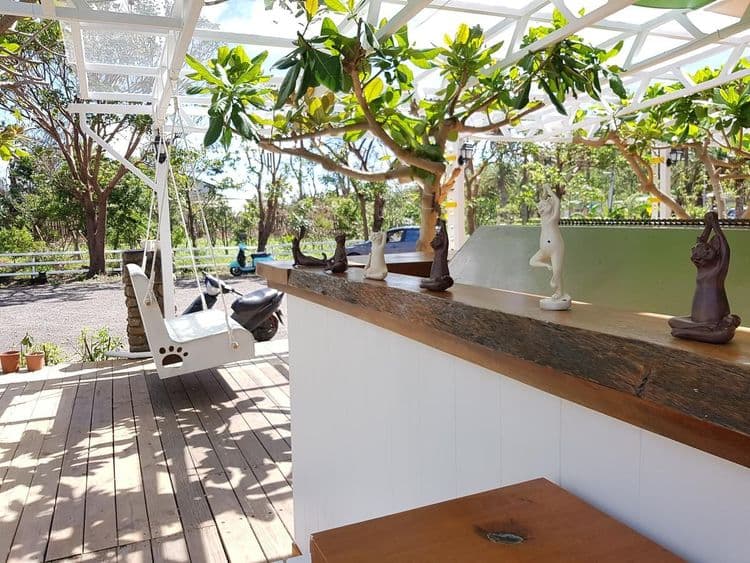 貓兒散散步 l 寵物友善-10