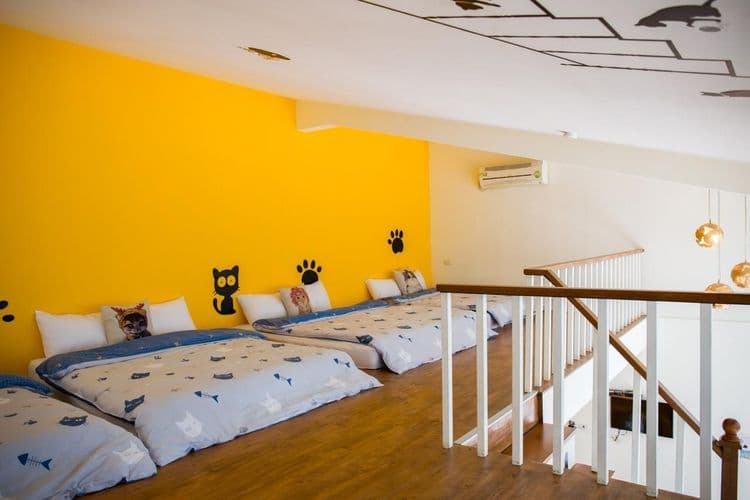 貓兒散散步 l 寵物友善-6