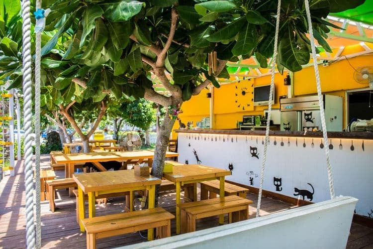 貓兒散散步 l 寵物友善-11