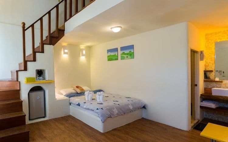 貓兒散散步 l 寵物友善-8