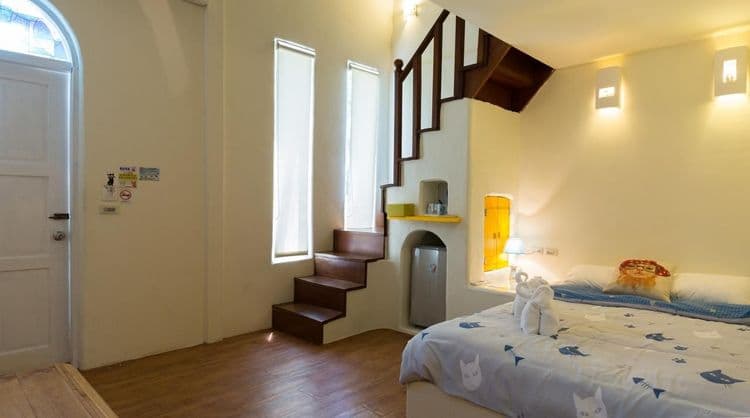 貓兒散散步 l 寵物友善-4