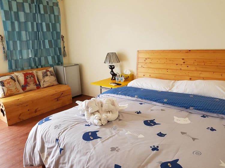 貓兒散散步 l 寵物友善-3