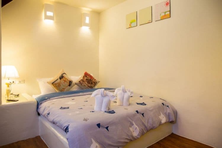 貓兒散散步 l 寵物友善-2